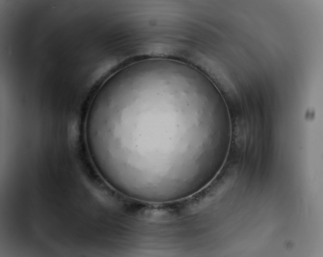 X0000103500208200809121748