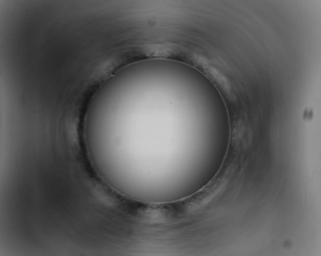 X0000103500209200809121748