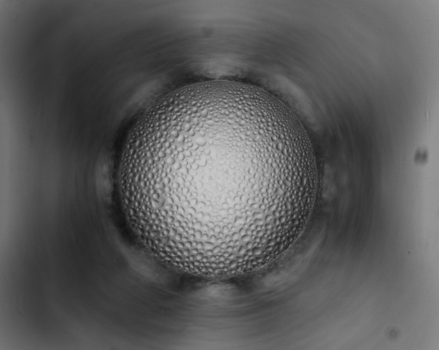 X0000103500210200809121748