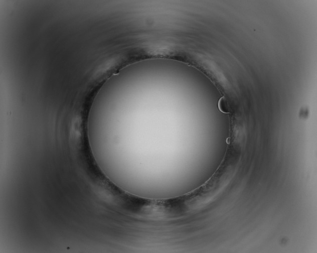 X0000103500211200809121748