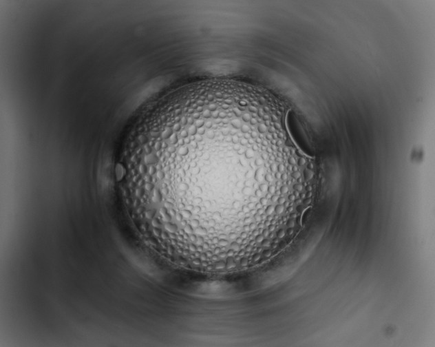 X0000103500212200809121748