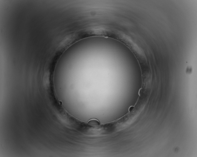 X0000103500213200809121748