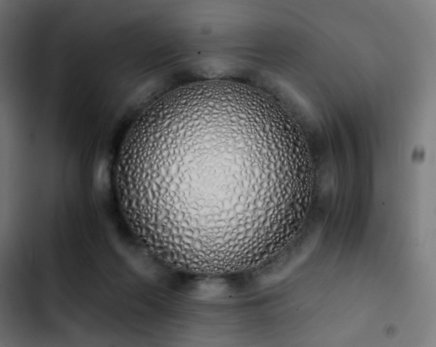 X0000103500214200809121748