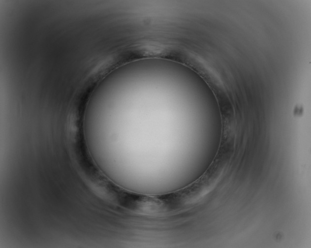 X0000103500215200809121748