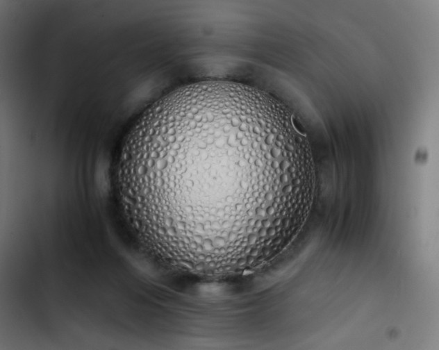 X0000103500216200809121748