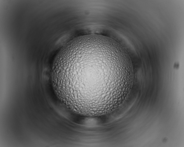 X0000103500218200809121748