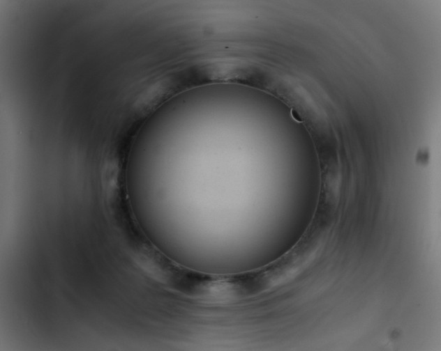 X0000103500219200809121748