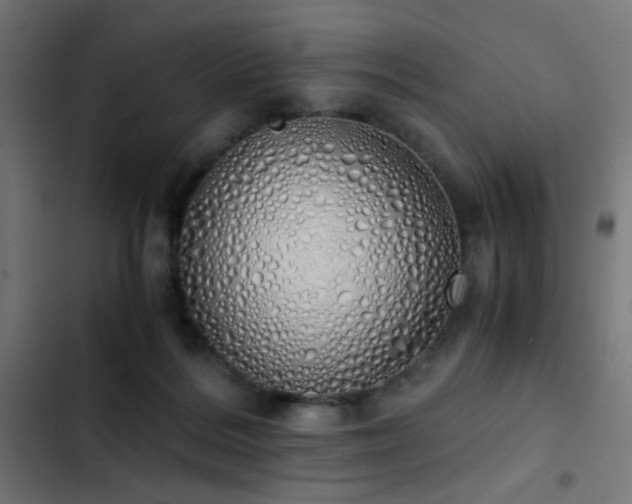 X0000103500220200809121748