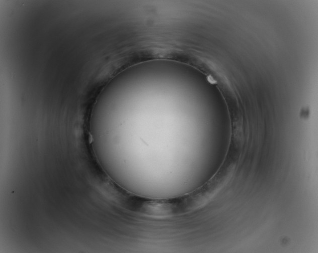 X0000103500221200809121748