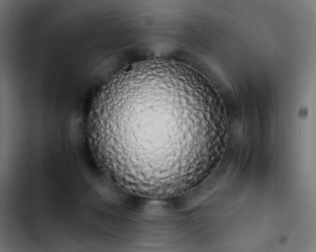 X0000103500222200809121748