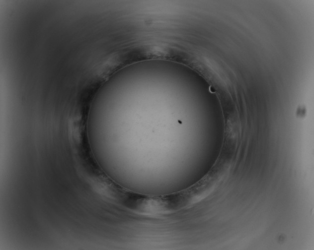 X0000103500223200809121747