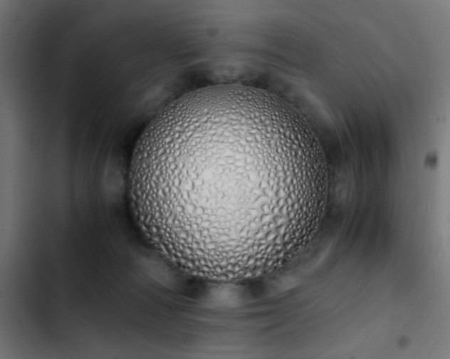 X0000103500226200809121747