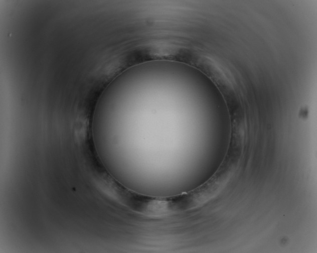 X0000103500227200809121747