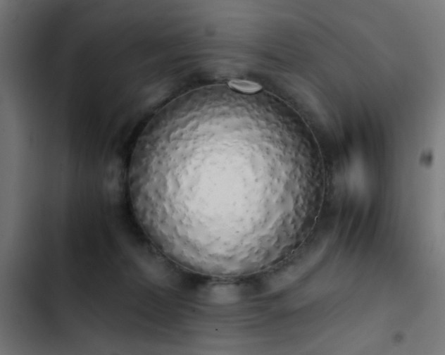 X0000103500228200809121747