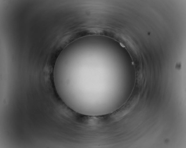 X0000103500229200809121747