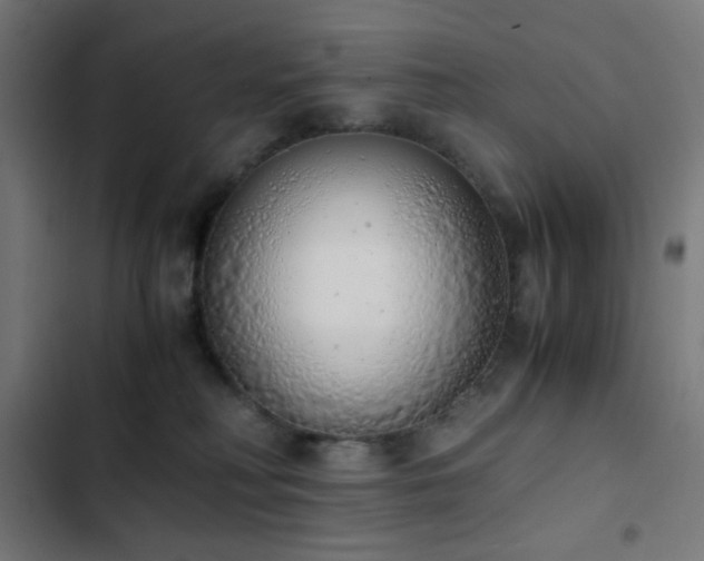 X0000103500230200809121747