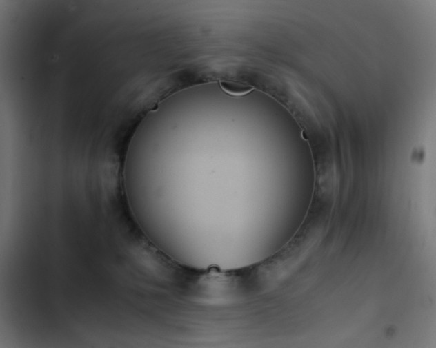 X0000103500231200809121747