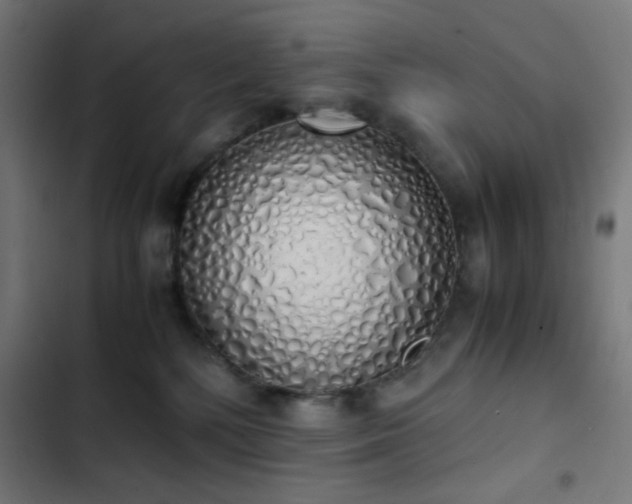 X0000103500232200809121747