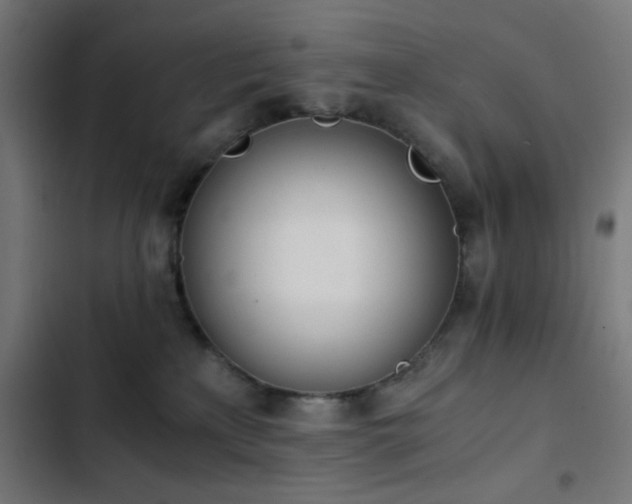 X0000103500233200809121747