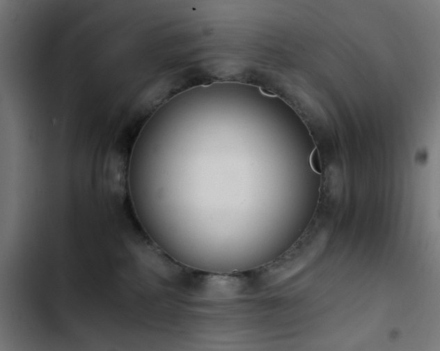 X0000103500234200809121747