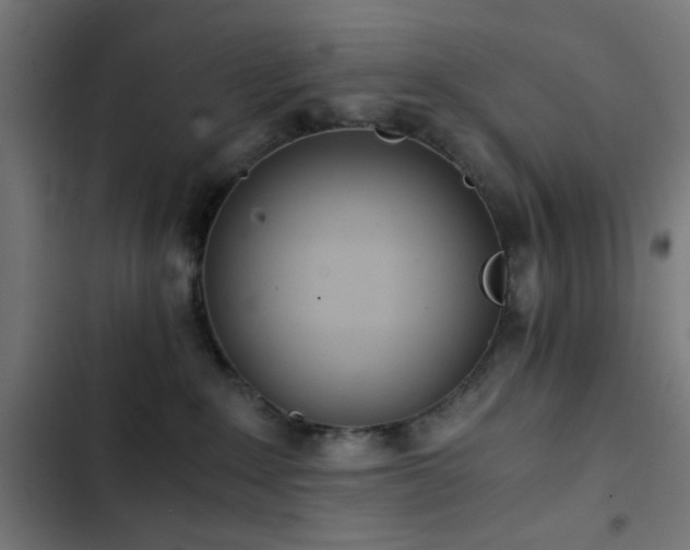 X0000103500235200809121747