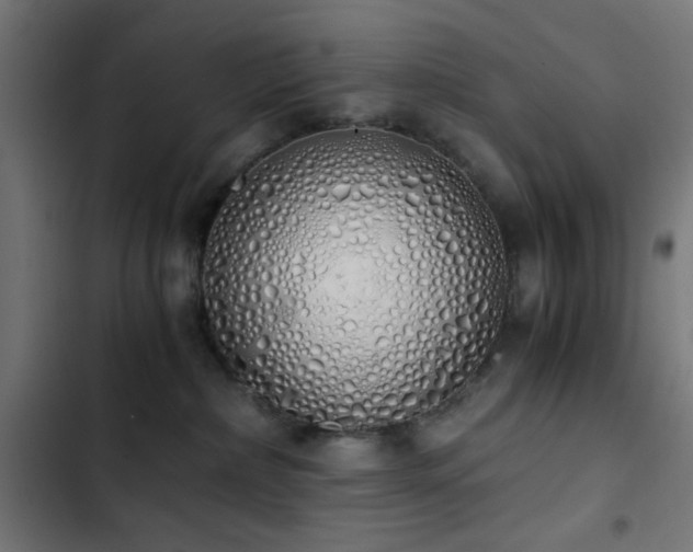 X0000103500236200809121747