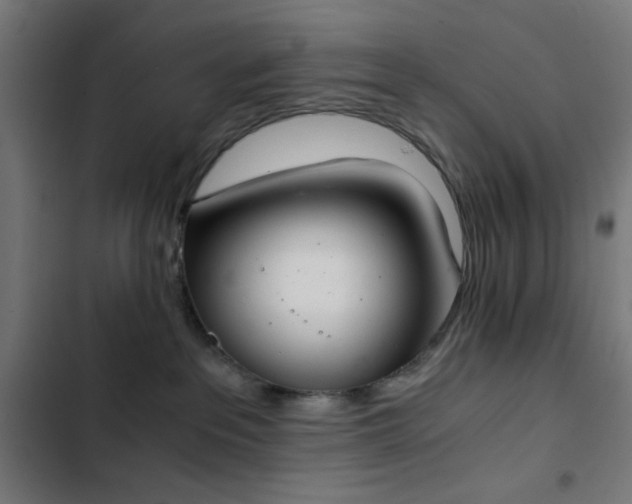 X0000103500237200809121747