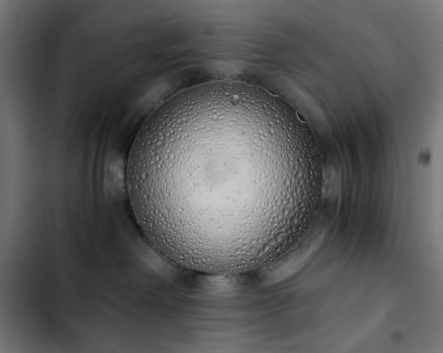 X0000103500238200809121747