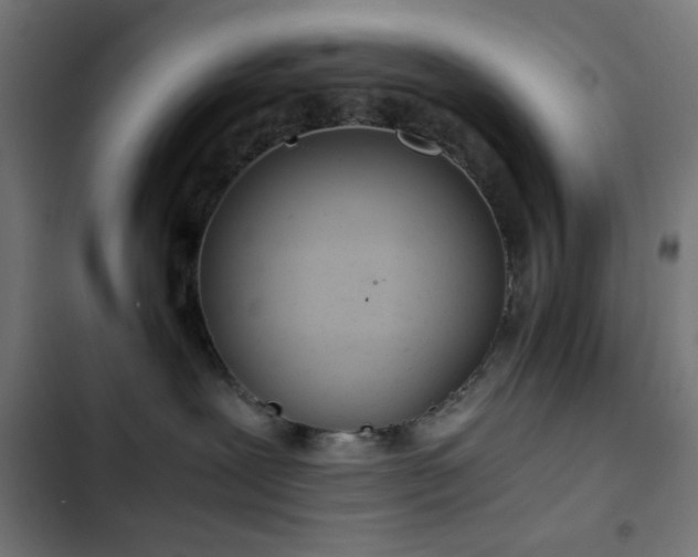 X0000103500239200809121747