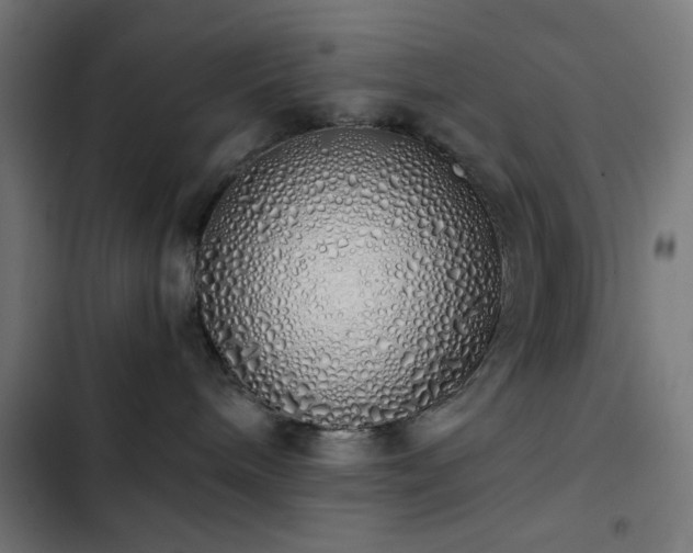 X0000103500240200809121747