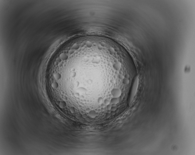 X0000103500241200809121746