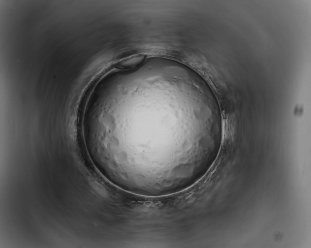 X0000103500243200809121746