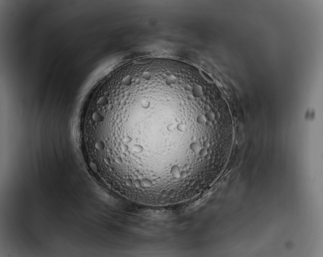 X0000103500245200809121746