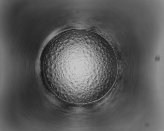 X0000103500246200809121746