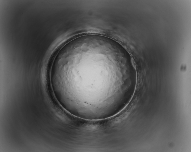 X0000103500247200809121746