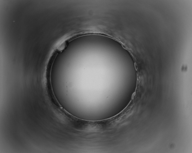 X0000103500248200809121746