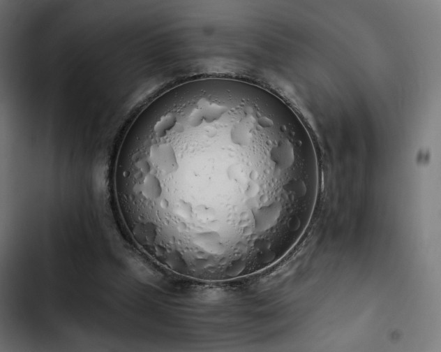 X0000103500249200809121746