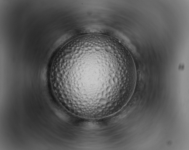 X0000103500250200809121746