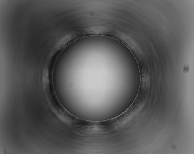 X0000103500254200809121746