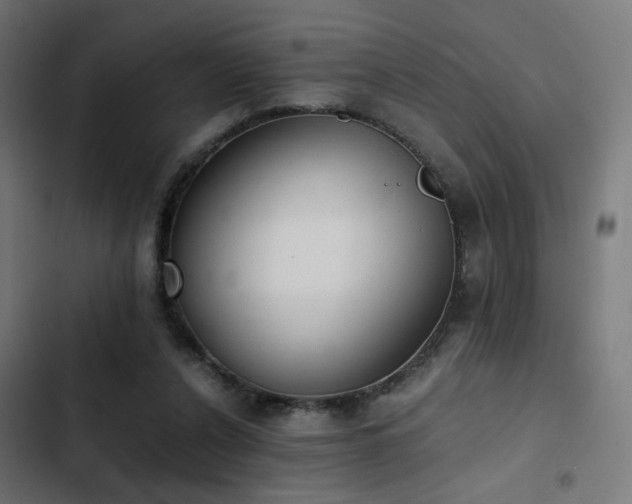 X0000103500256200809121746