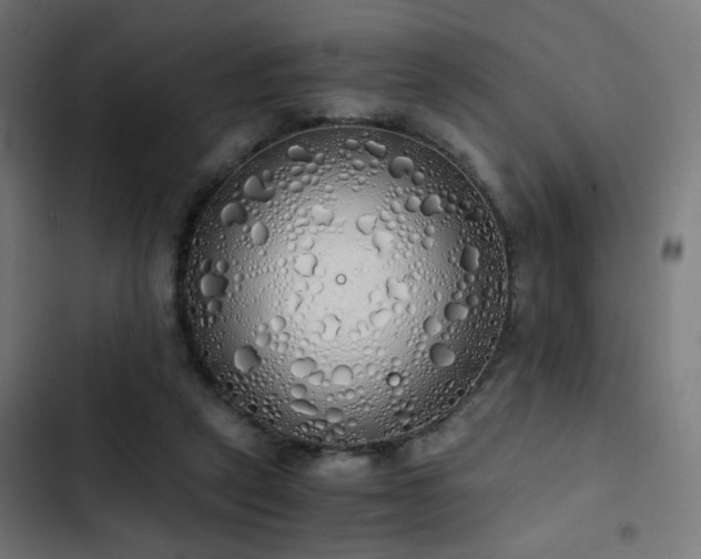 X0000103500257200809121747