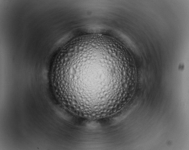 X0000103500258200809121747