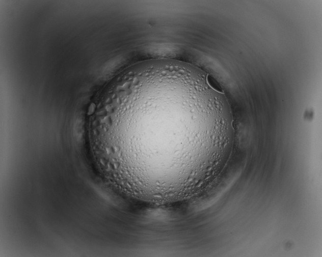 X0000103500259200809121747