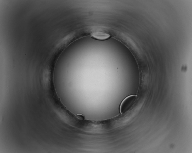 X0000103500260200809121747