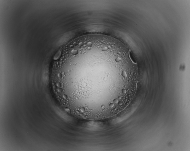 X0000103500261200809121747