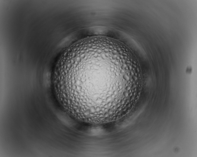 X0000103500262200809121747