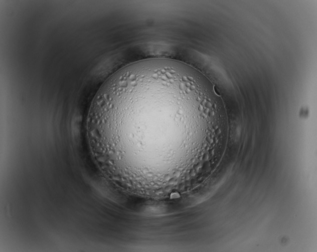 X0000103500263200809121747