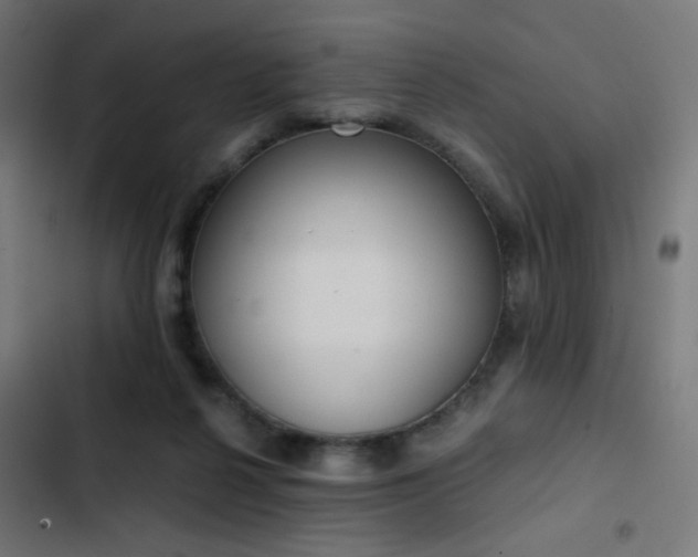 X0000103500264200809121747