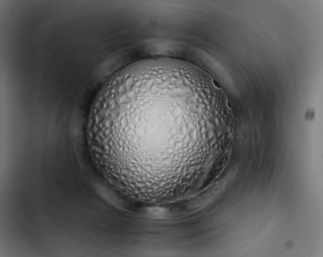 X0000103500265200809121747