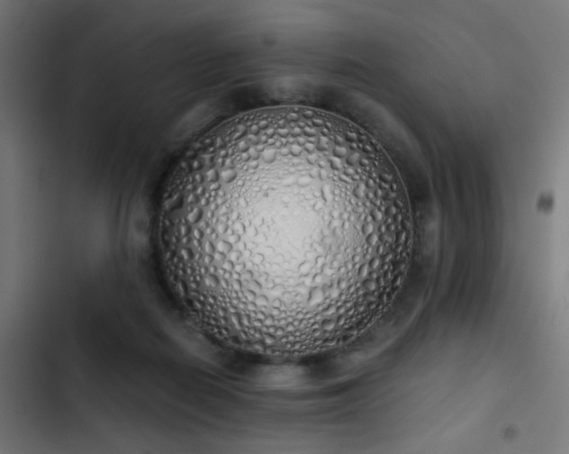 X0000103500266200809121747